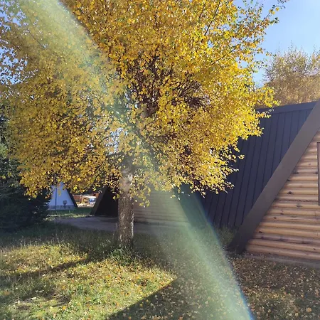 Holiday home Kuca Drincic *