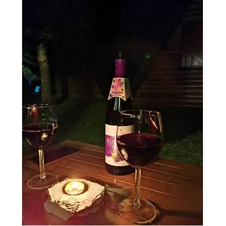 Holiday home Kuca Drincic